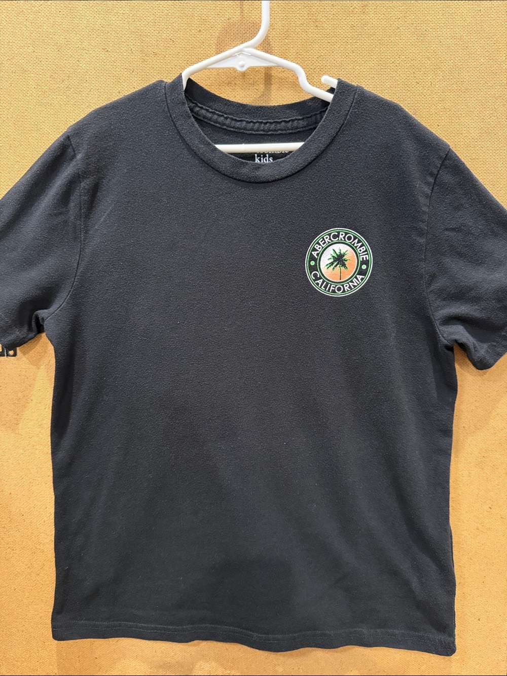 abercrombie kids boys Black Tee with Abercrombie California Crest Venice beach